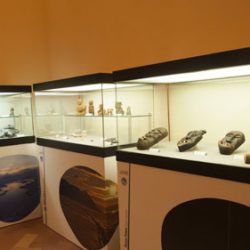 sala5
